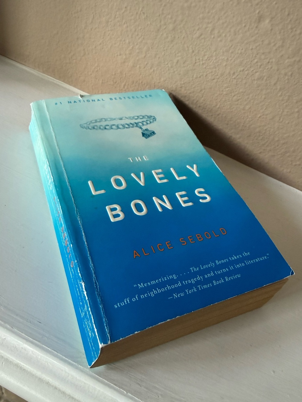Book - The Lovely Bones Paperback Novel by Alice Sebold